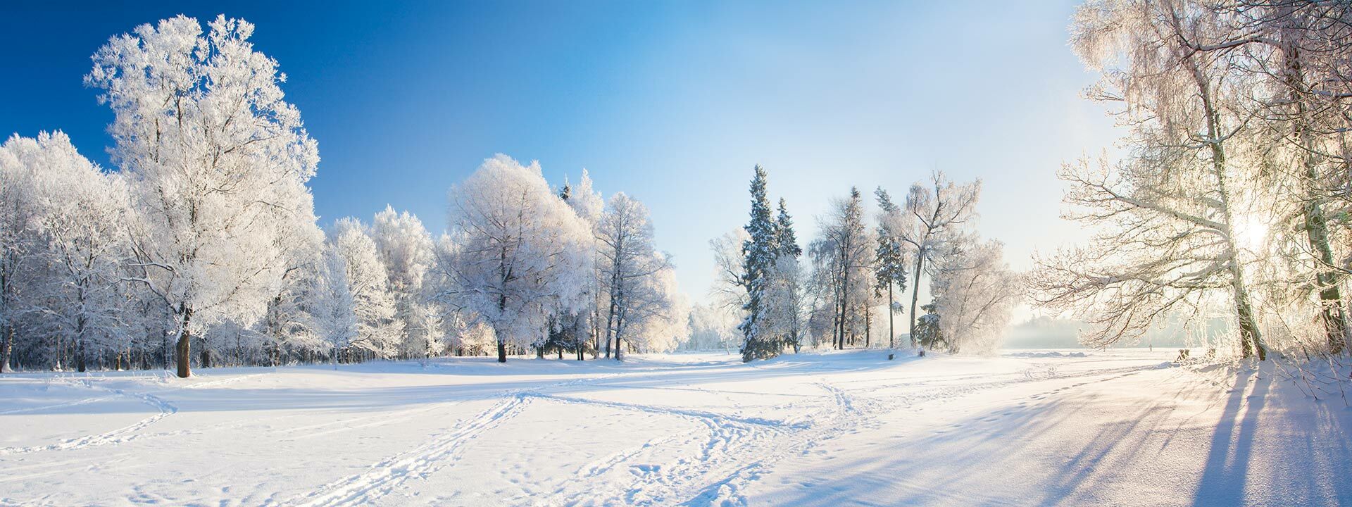 Startseite fit4retail GmbH